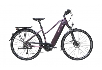 Alboin Curve Tour Purple/aubergine (bw)