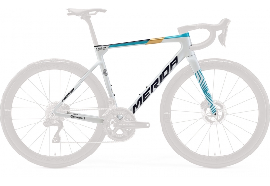 Scultura Team frame kit PEARL/BLUE (TEAM)