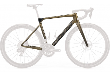 Scultura 9000 frame kit SILK SPARKLING GOLD (BLACK)