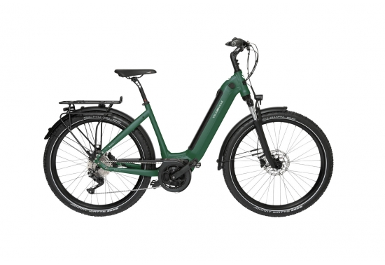 SEB 890 - smart Eucaliptus Green matt