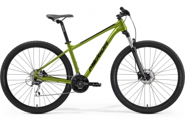 BIG.SEVEN 20 VI1 MATT FALL GREEN (BLACK)